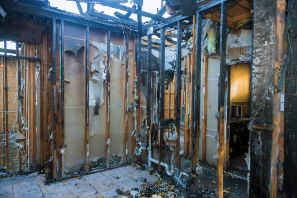 Professional Fire Damage Removal technician working in Monticello, WI